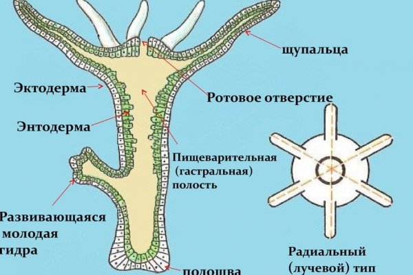 Какой нужен тор чтоб зайти в кракен
