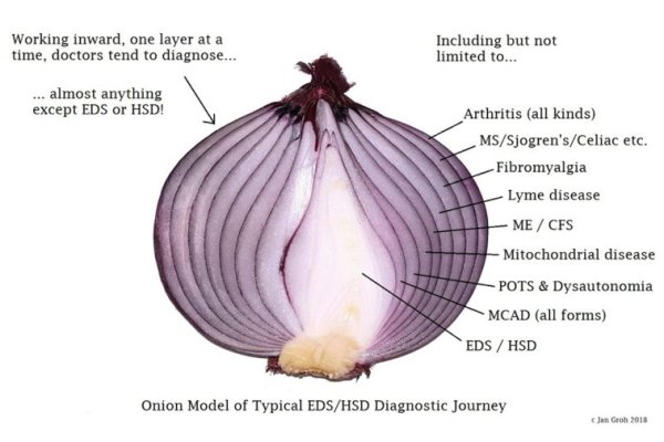 Kraken istand onion